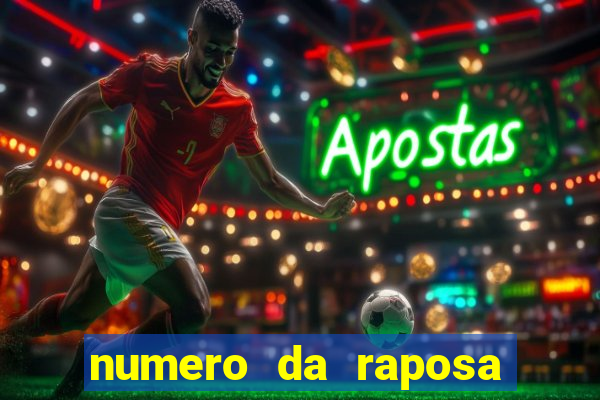 numero da raposa jogo do bicho